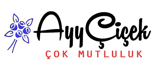 ayycicek.com
